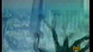 Robert Palmer - All Around the World (Videomusic)