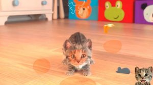 Little Kitten #6 My Cat Pet Care Let's play Fun Cute Kitten Care Games Kids Children Toddlers