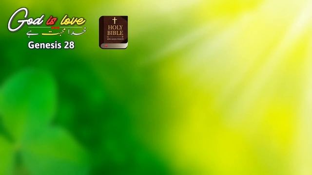 Genesis 28 | online bible study course | The bible | holy Bible | read the bible with me | bible смотреть онлайн