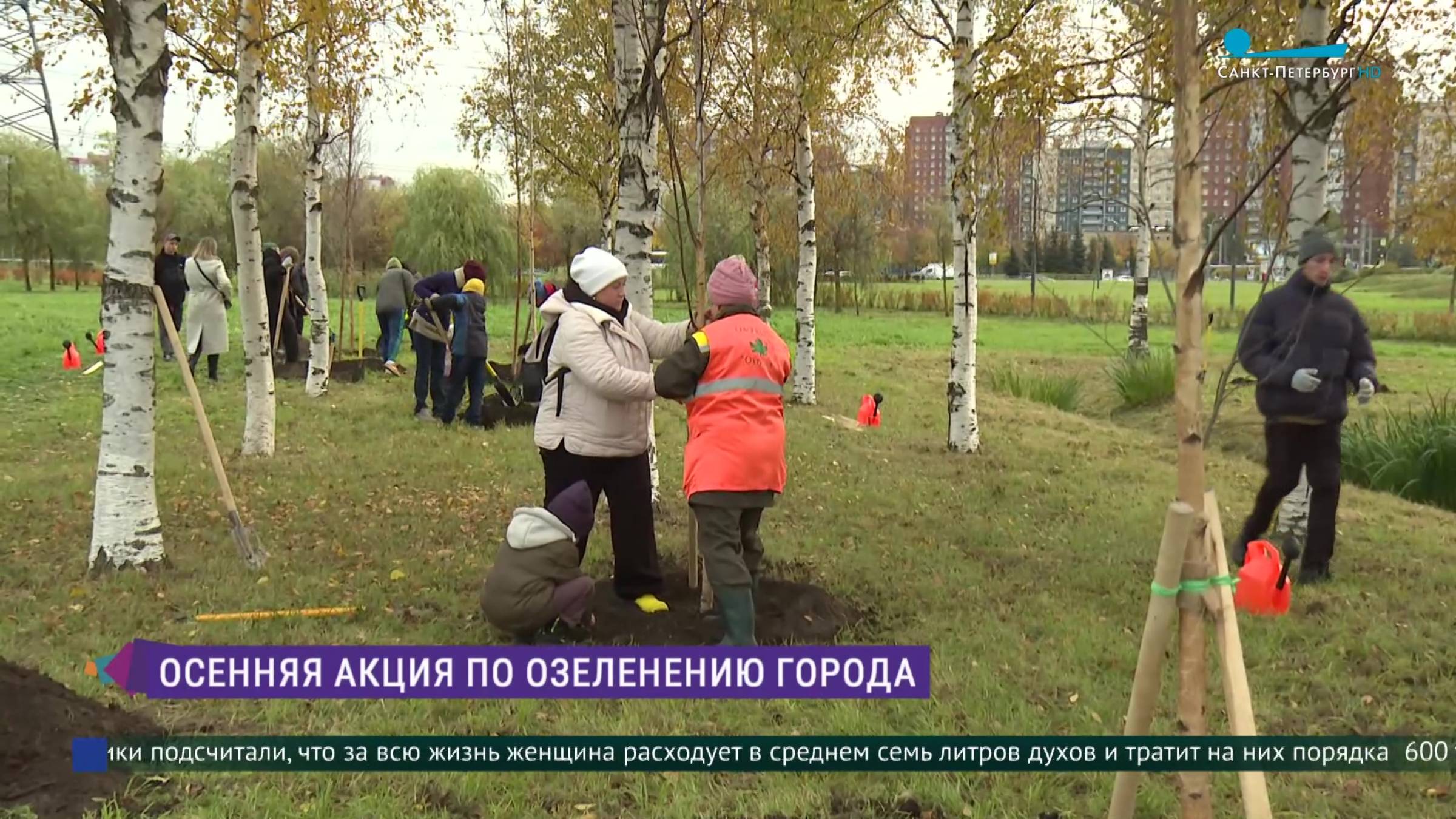 Акция по озеленению в Ладожском парке