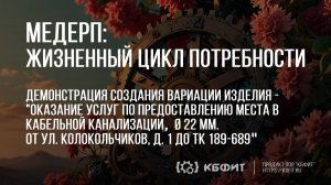 КБФИТ: МЕДЕРП. ЖЦП. Создание вариации изделия - оказание услуг по пред-нию места в каб. канализации