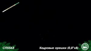 СП5563