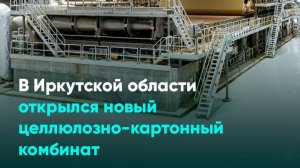 В Иркутской области открылся новый целлюлозно-картонный комбинат