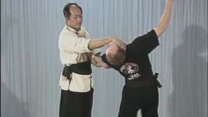 Tai Chi, Тай чи Ч19 Zhuan Shen Chan Zhou, выверт руки