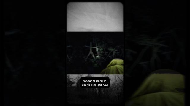 В поисках неведомого