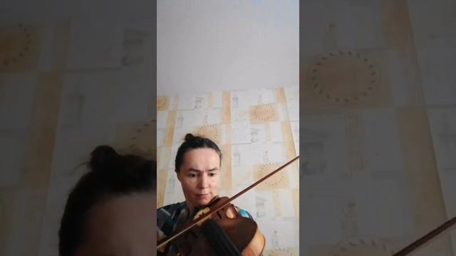 Опавшие листья
