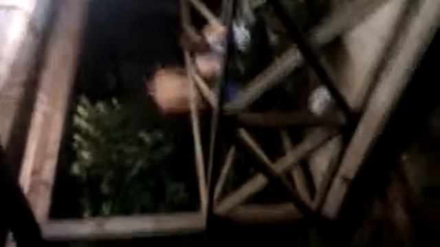 Dhanesh strip poker смотреть онлайн