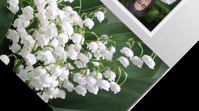 Авилов Алексей - Ландыши!