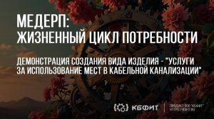 КБФИТ: МЕДЕРП. ЖЦП. Создание вида изделия - услуги за использование мест в кабельной канализации.