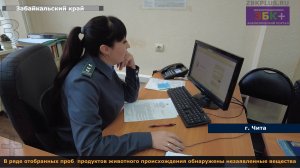 Россельхознадзор в ряде отобранных проб пищевых продуктов животного происхождения обнаружены незаявл