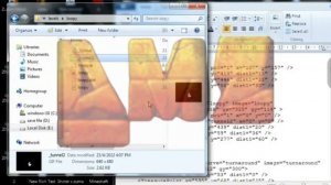 ZUMA DELUXE : How to change original resolution level to custom resolution level