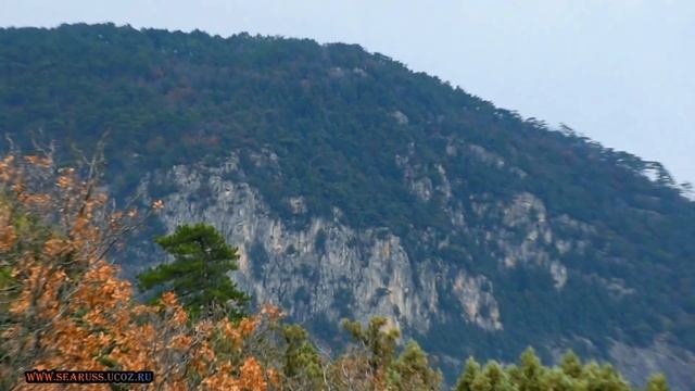 ГАСПРА ПАНОРАМНЫЙ ВИД СО СКАЛЫ УТЮЖОК СОЛНЕЧНАЯ ТРОПАКИЧ-КИНЭ, ПАЛЬМИРА ПАЛАС, ОРЕАНДАЯЛТА КРЫМ