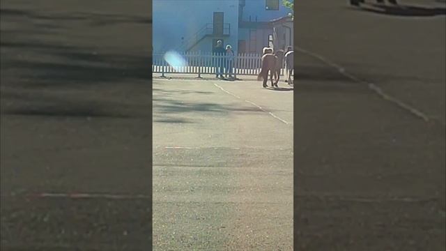 А  коник был с характером. Москва ВДНХ центр конных традиций   #мисхорскаягавань #searuss