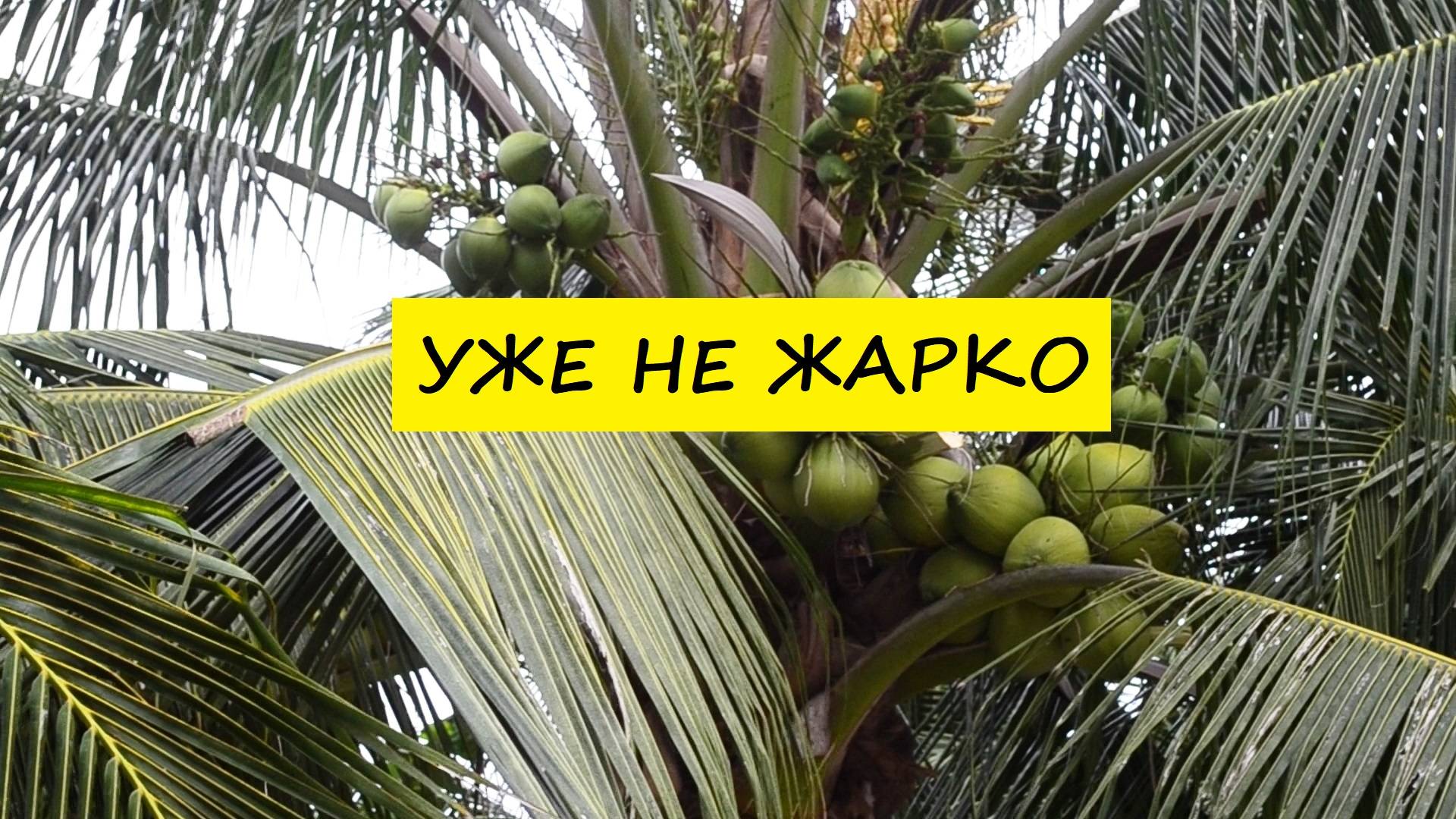 Вьетнам Нячанг погода сегодня 17 октября 2024 года ❤️ Не жарко и комфортно
