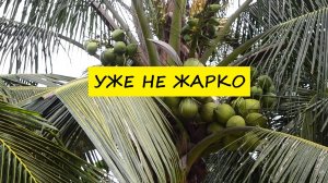 Вьетнам Нячанг погода сегодня 17 октября 2024 года ❤️ Не жарко и комфортно