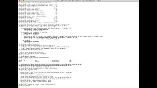 Install Flutter SDK  Screen Capture - Terminal Window -  Mac OS