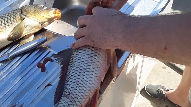 Лайфхак как за 2 мин,выпотрошить рыбу не разрезая её