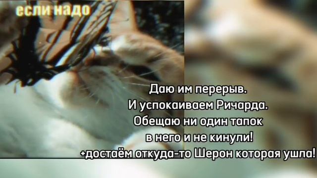 Реакция лолофд(Последняя реальность) на Лололошка!
