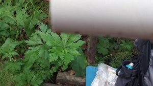 Привёз шланги в ЗЕМЛЯНКУ | ВОДА НЕ ушла | быстрый ВЫПУСК ☀ 25.06.24