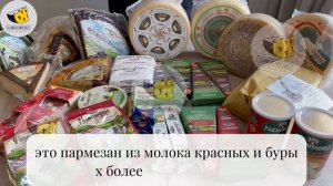 Новые поступления сыров из Европы. Пармезаны и другие новинки