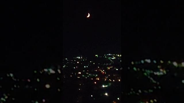 Звуки ночного леса  Мисхорская гавань вид на Гаспру Кореиз Алупку  Крым, пение сверчков