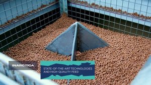 INARCTICA- Leader of Salmon Aquaculture in Russia