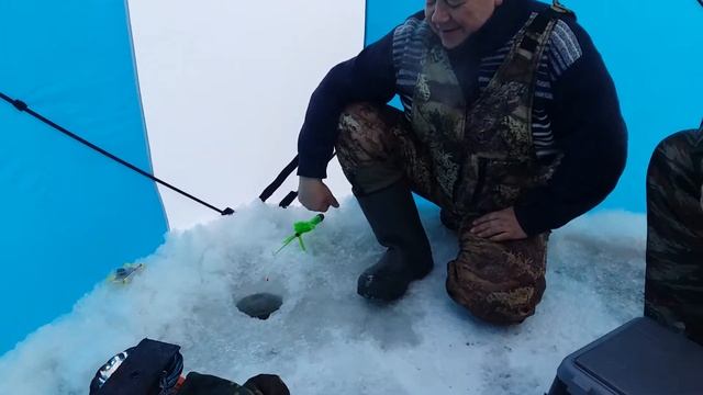 26.01.19 г. смотреть онлайн