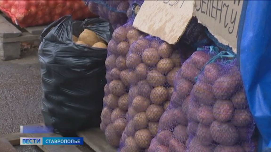 Урожай картофеля на Ставрополье в этом году подкачал