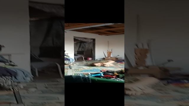 VID_20241017_125455.mp4