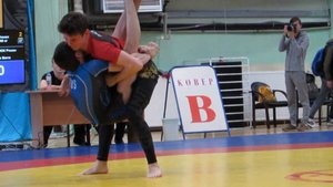TOP-15 BJJ & grappling submissions