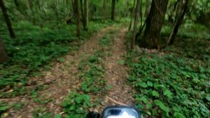 42) Веломаршруты Москвы и Подмосковья. Сергиев Посад - Гремячий ключ