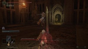 Elden Ring Апостол божественной кожи (Звёздные пустоши) (89)