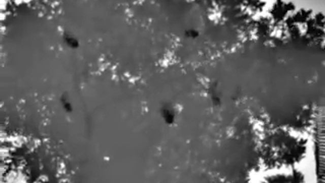 Therm App 25 HZ смотреть онлайн