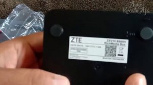 Unboxing TV Box Android ZTE ZXV10 B860H