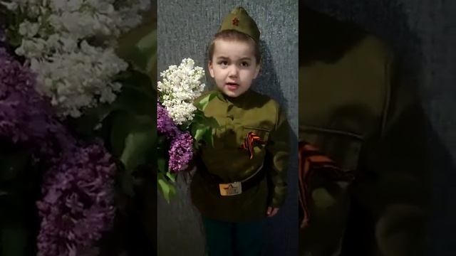 Строки, опалённые войной  Богдан Волошин, дс Алые паруса, мл гр  Дельфинёнок