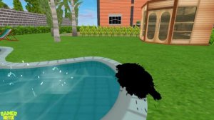 Prankster 3D - New Update & New Chapters & New Levels - Android & iOS