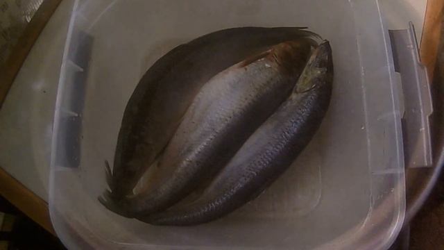 Малосольная селёдка, простой рецепт приготовления.