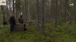 О работе Центра по спасению медвежат