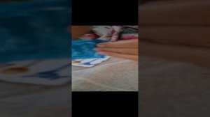 2 часть бумажных скрыпышей