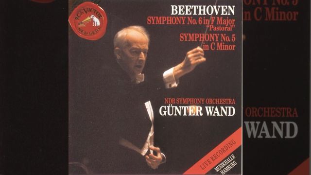 Symphony No. 5 in C Minor, Op. 67: I. Allegro con brio (Live) смотреть онлайн
