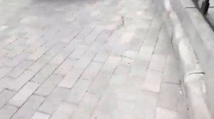 Прода Декстера