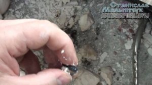 Неудачная попытка запаять коронку