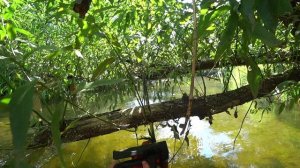 Под мостом мешает проехать