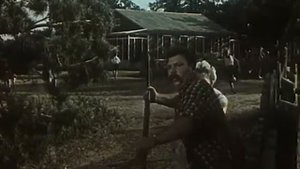 Дружок. 1958