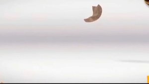 KELLOGGS TRÉSOR AND KELLOGGS KRAVE YUM YUM COMMERCIAL HOME BUSINESS TRÉSOR/KRAVE YUM YUM