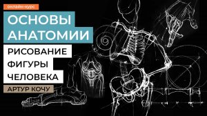 Основы пластической анатомии. Курс рисования фигуры с художником Артуром Кочу. Анонс.