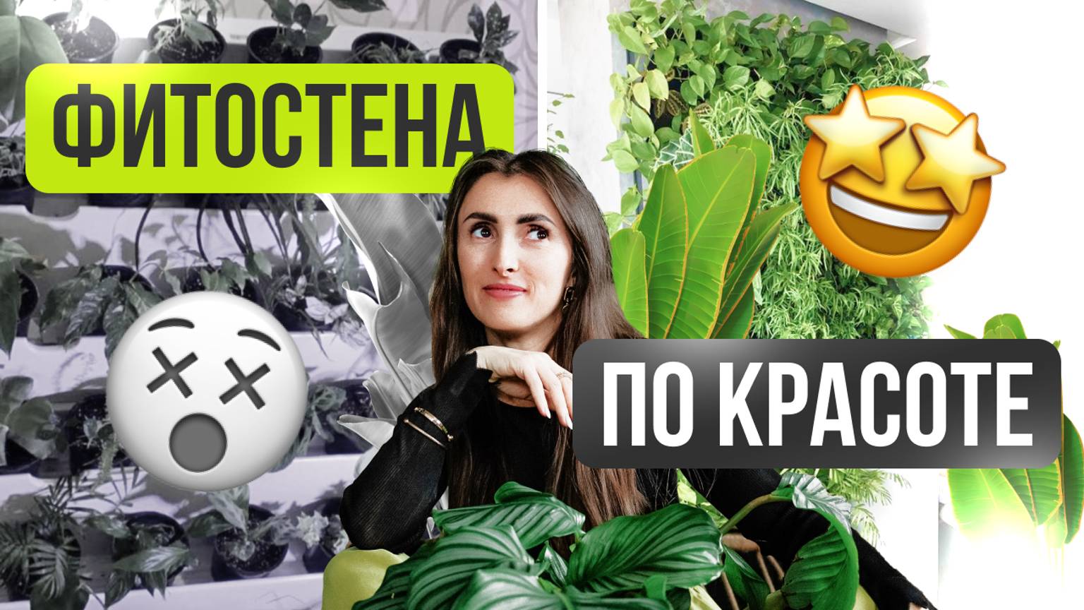 Фитостена по красоте! #фитостена #фитодизайн #комнатные растения