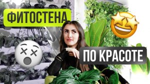 Фитостена по красоте! #фитостена #фитодизайн #комнатные растения