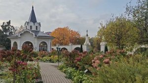Осенний вальс (поет Анна Герман)
