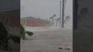 Камеры видео наблюдения запечатлели момент, как во Флориде во время урагана уровень воды поднялся